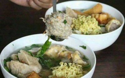 Ciri-Ciri Fisik Bakso Yang Ada Di Indonesia